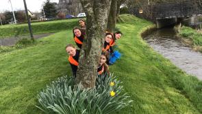 Pictures: Schools, businesses and groups out in force for Kikenny's Let's Team Up to Clean Up