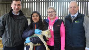 Ag Science students get a taste of farm life at Kildalton Agricultural College in Kilkenny