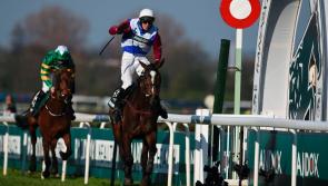 Kilkenny horse breeder saddened by passing of Grand National winner