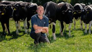 Likely supermarket price war  ‘acid test’ for new Food Price Regulatory Office - Kilkenny ICMSA President