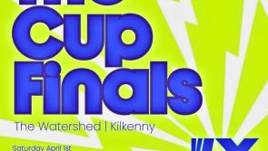 Kilkenny plays host to National Volleyball Finals