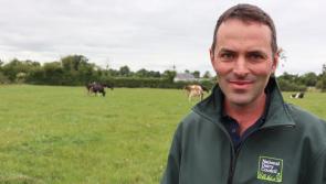 Irish dairy farming - An industry built on over 6,000 years of expertise