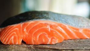 Batch of Irish fish removed from shops due to presence of illness-causing bacteria