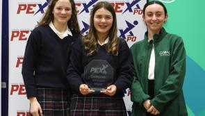 Kilkenny students win top award at PExpo 2023