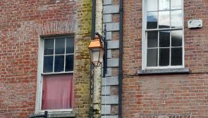 Have you noticed the newest additions to the streets of Kilkenny?