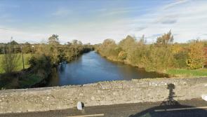 Fencing vandalised on scenic river walk in Kilkenny