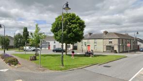 All systems go for upcoming family fun festival in Kilkenny