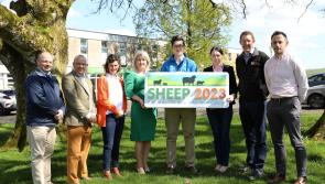 Sheep 2023 event will have something for all the family