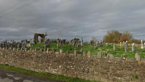 Graveyard in Kilkenny now 'overgrown' and 'dangerous'
