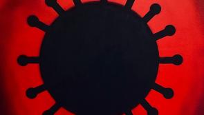 Phronesis - an exciting new exhibition at the Watergate in Kilkenny