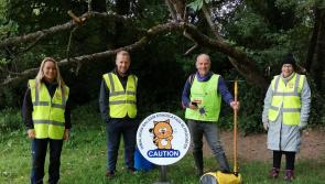 Keep Kilkenny Beautiful calling volunteers for National Alien Invasive survey
