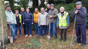 Kilkenny all set for busy Biodiversity Week