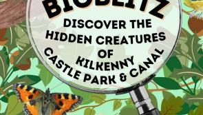 All the events for Keep Kilkenny Beautiful's 24-hour Bioblitz