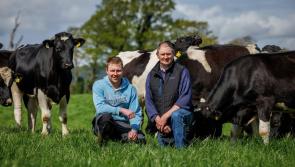 Award-winning Twenty20 Beef Club enhances pricing structure to benefit Kilkenny farmers