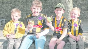 Hot weather advice issued to Kilkenny people from Met Éireann