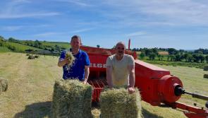 Sunshine and haymaking on Kilkenny farms this week