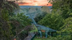 Join Newpark Hotel as it celebrates a year of Jurassic joy in Kilkenny