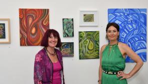 Natural Designs - a stunning exhibition now showing in Kilkenny