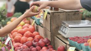 €300k boost for agri-food tourism will 'build on progress' made in sector - McConalogue