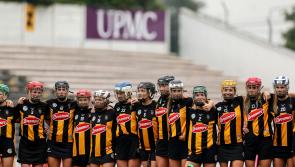 Wexford reel in Kilkenny camóige champs to share the spoils