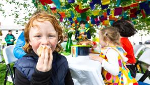 Join in the fun and get your entry in for Kilkenny Street Feasts