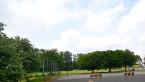 Supports urged for soccer club in new Butts plan in Kilkenny