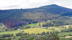 Have you ever visited this hidden gem near Kilkenny?