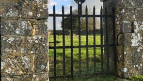 Special walk will trace route of the ancient road along South Laois/Kilkenny border