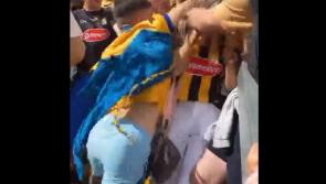 Concerns over apparent scenes of violence in crowd at Kilkenny v Clare match