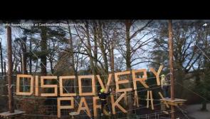 Watch: Brand new €500,000 Skywalk Challenge opens at Castlecomer Discovery Park