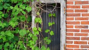  Ending long-term vacant homes and dereliction - €6 million allocated  to Kilkenny 
