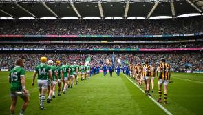 Over a million people tune into RTÉ for All-Ireland final between Kilkenny and Limerick