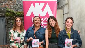 Artist community out in force to celebrate ninth Alternative Kilkenny Arts Festival