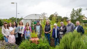 Kilkenny communities urged to have voice heard at future-shaping ‘Our Town’ workshop