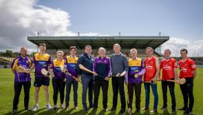 Kilkenny stars bejewel teams announced for Hurling for Cancer Research 2023