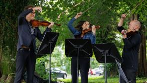 Kilkenny festival-goers delight at Secret Garden Music performances - with more to come