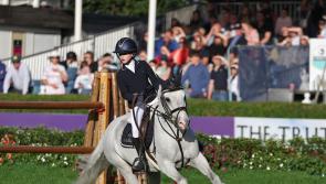 Massive Kilkenny interest at the Dublin Horse Show