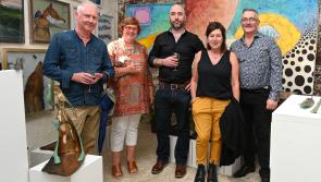 GALLERY: A round up of pictures from this years Alternative Kilkenny Arts