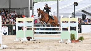 PICTURES: Kilkenny pony and young riders at Dublin Horse Show
