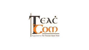 Kilkenny legends to swap hurls for cricket bats in aid of Teac Tom