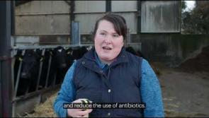 Kilkenny mother and daughter farm team win grant from RISE Community Fund for use of technology