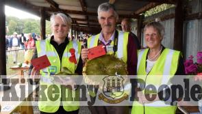 PICTURES: A great day out at the Iverk Show in Kilkenny (1)