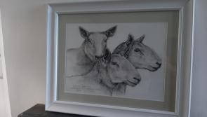 Kilkenny artist will raffle artwork to support Sheepdog Trials