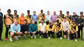 Well-known Kilkenny faces swap their hurls for cricket bats