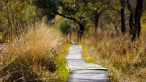 Entrance to Co Kilkenny nature reserve to receive upgrade