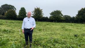 Agri Minister 'needs to go back to Europe and renegotiate', says Kilkenny councillor