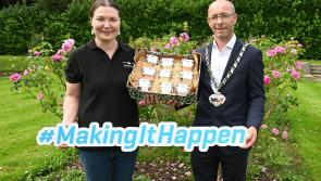 Small Kilkenny business reaches national stage 