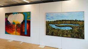 Last chance to see  Kilkenny artists in An Chead Tine Art Gallery