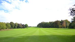 Castle Park closes to the public as Storm Agnes makes landfall in Kilkenny