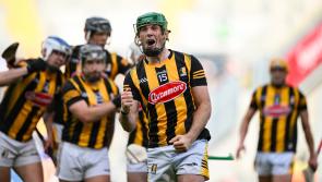 Eight Kilkenny hurlers in the running for All-Stars